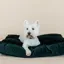 Kentucky Velvet Pillow Dog Bed - Pine Green