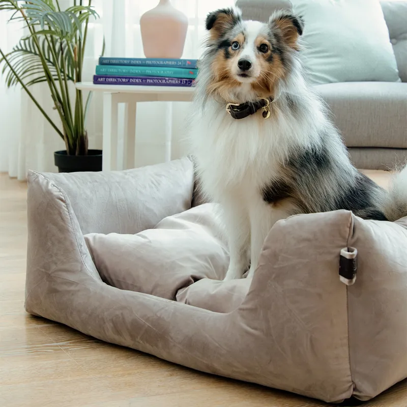 Kentucky Velvet Dog Bed - Beige-4