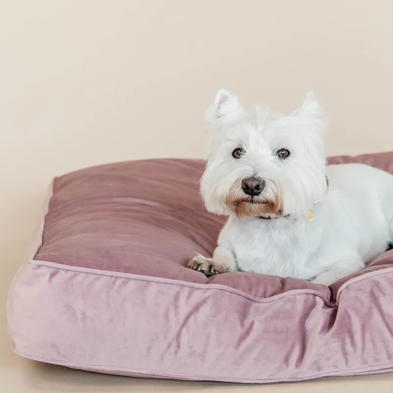 Kentucky Velvet Pillow Dog Bed - Old Rose-7