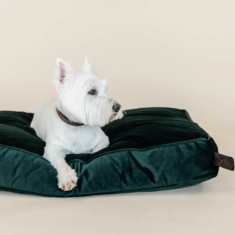 Kentucky Velvet Pillow Dog Bed - Pine Green-2