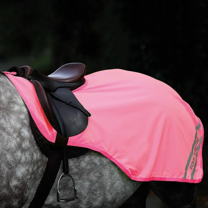 Shires EQUIFLECTOR Exercise Sheet Pink