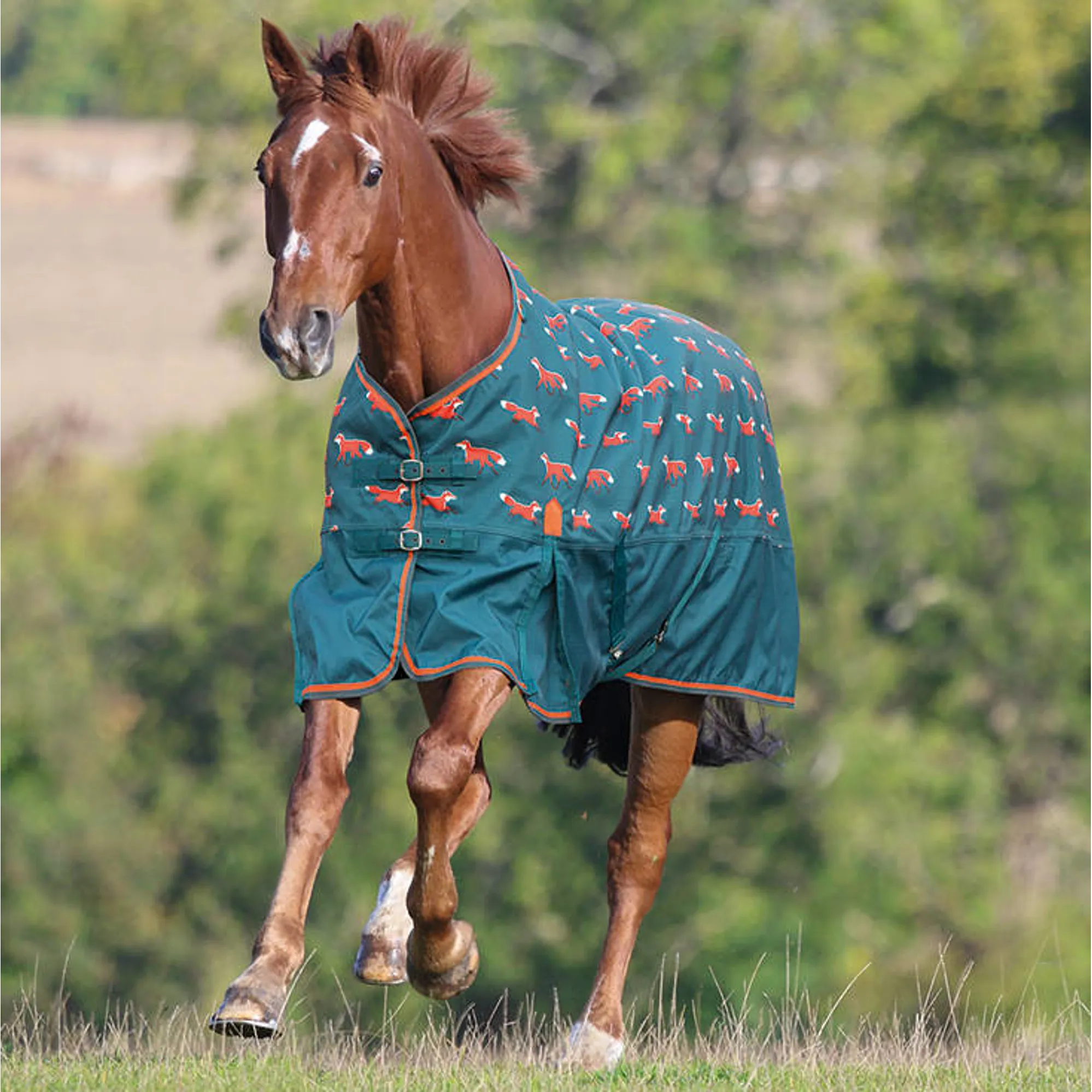 Shires Highlander Original Lite 0g Turnout Rug - Fox Print