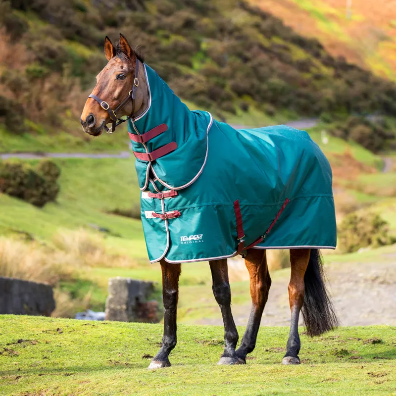 Shires Tempest Original 200g Detachable Neck Turnout Rug - Green-2