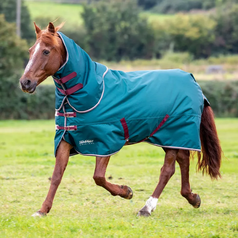Shires Tempest Original 200g Detachable Neck Turnout Rug - Green-1