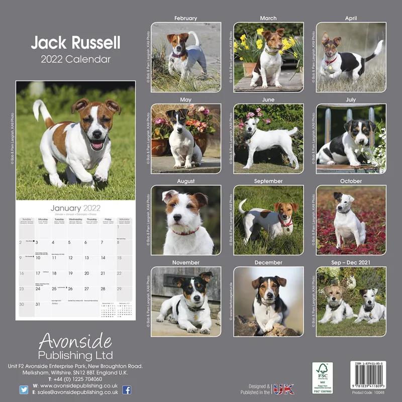 Avonside 2022 Calendar - Jack Russel-1