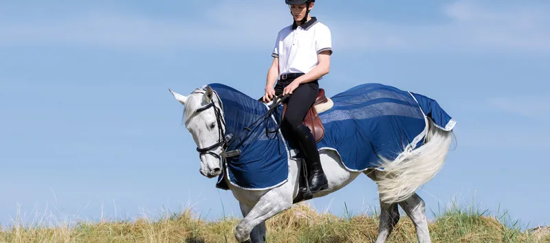 Amigo Flyrider Full Neck Fly Rug Exercise Sheet Amigo Flyrider Full Neck Fly Rug Exercise Sheet