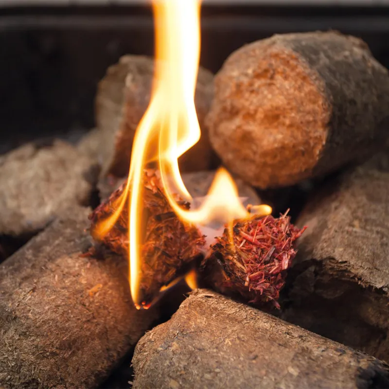 BurlyBurn Eco-Friendly Fire Lighters-1