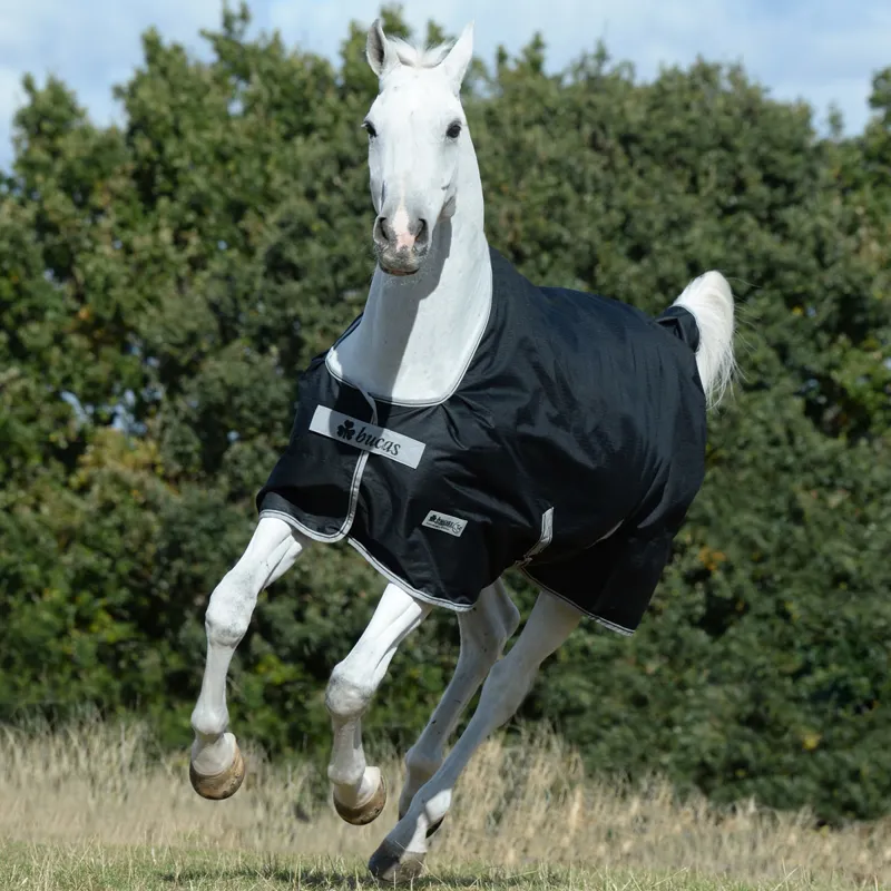 Bucas Anniversary 150g Standard Neck Turnout Rug - Black-2