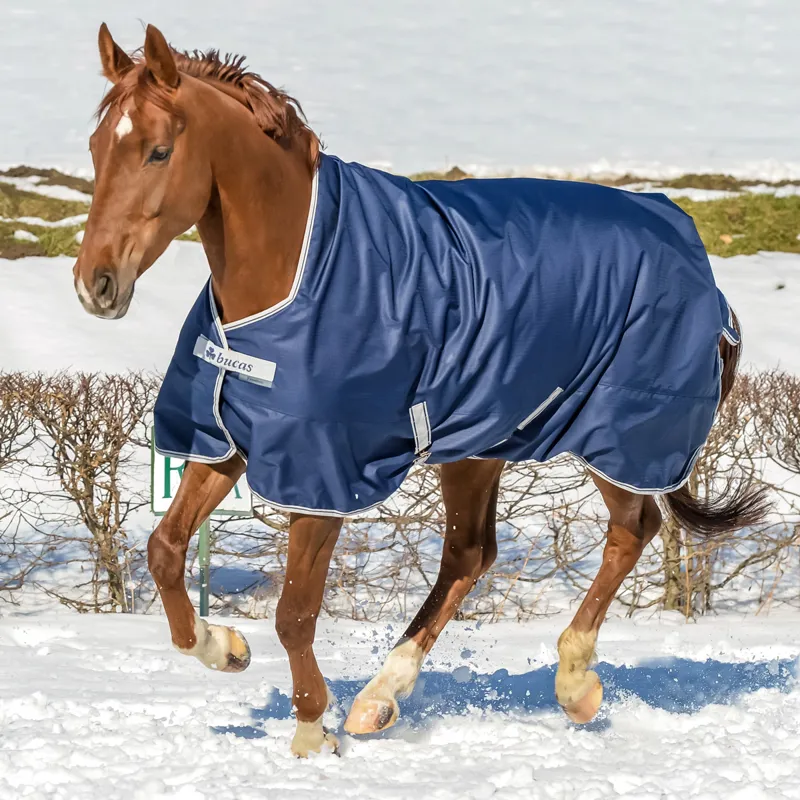 Bucas Freedom 0g Standard Neck Turnout Rug - Navy-2