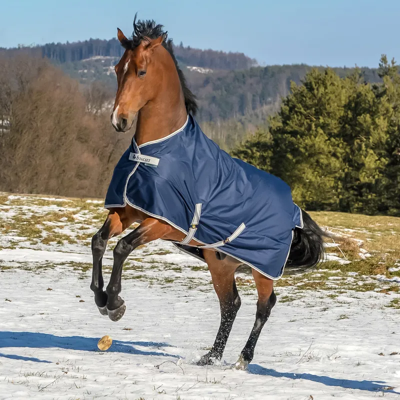 Bucas Freedom 0g Standard Neck Turnout Rug - Navy-7