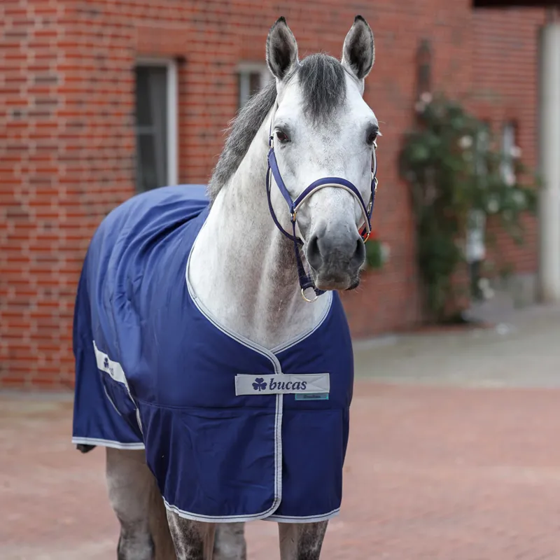 Bucas Freedom Twill Stable Sheet - Navy-3