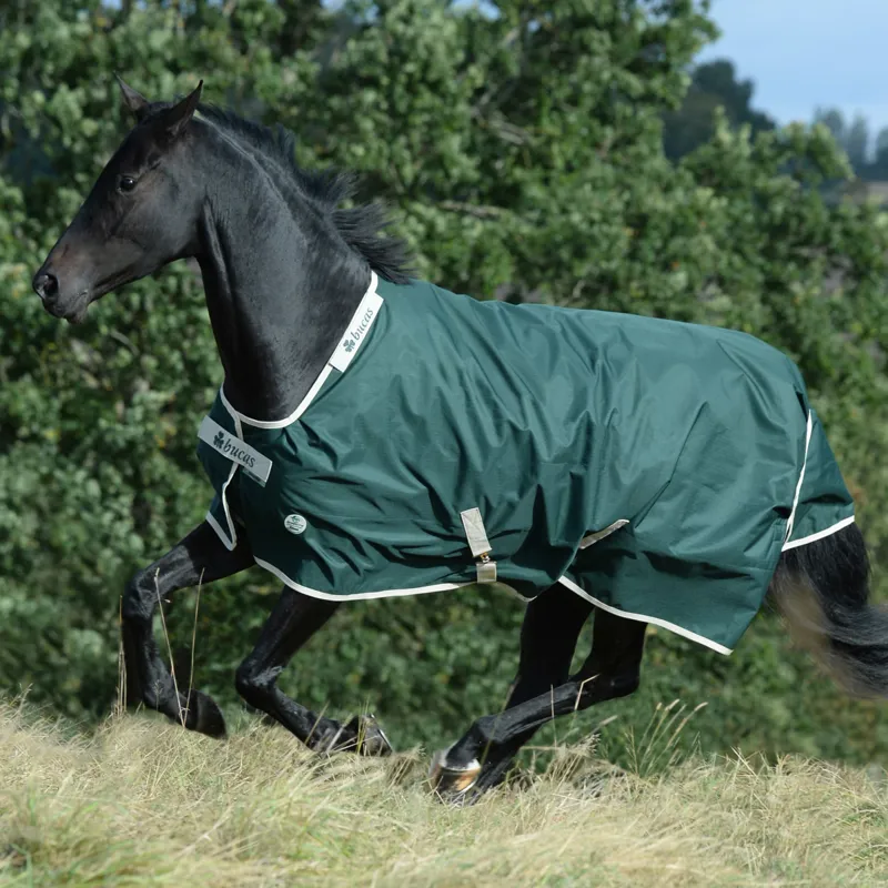 Bucas Green-Line 100g Standard Neck Turnout Rug - Green/Cream-3