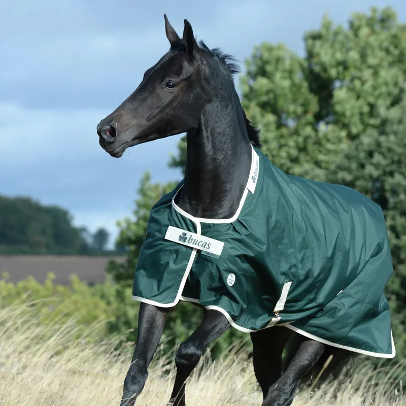 Bucas Green-Line 100g Standard Neck Turnout Rug - Green/Cream-4