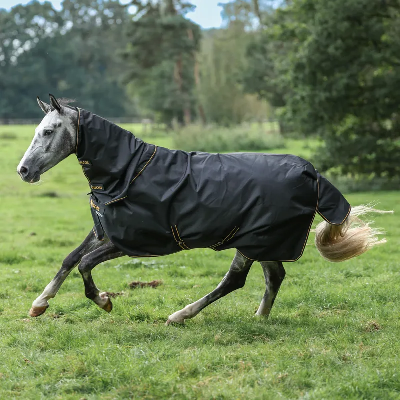 Bucas Irish 50g Detachable Neck Turnout Rug - Black/Gold
