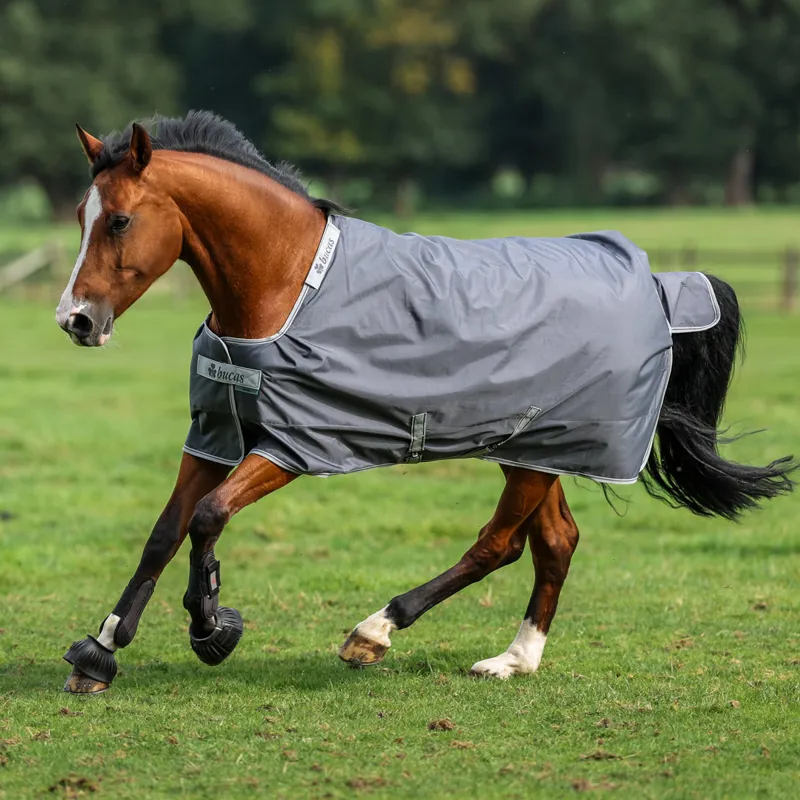 Bucas Smartex 150g Medium Standard Neck Turnout Rug - Iron Gate