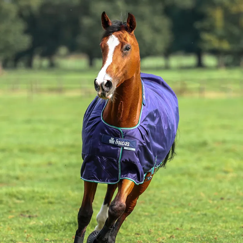 Bucas Smartex 300g Extra Standard Neck Turnout Rug - Blue-1