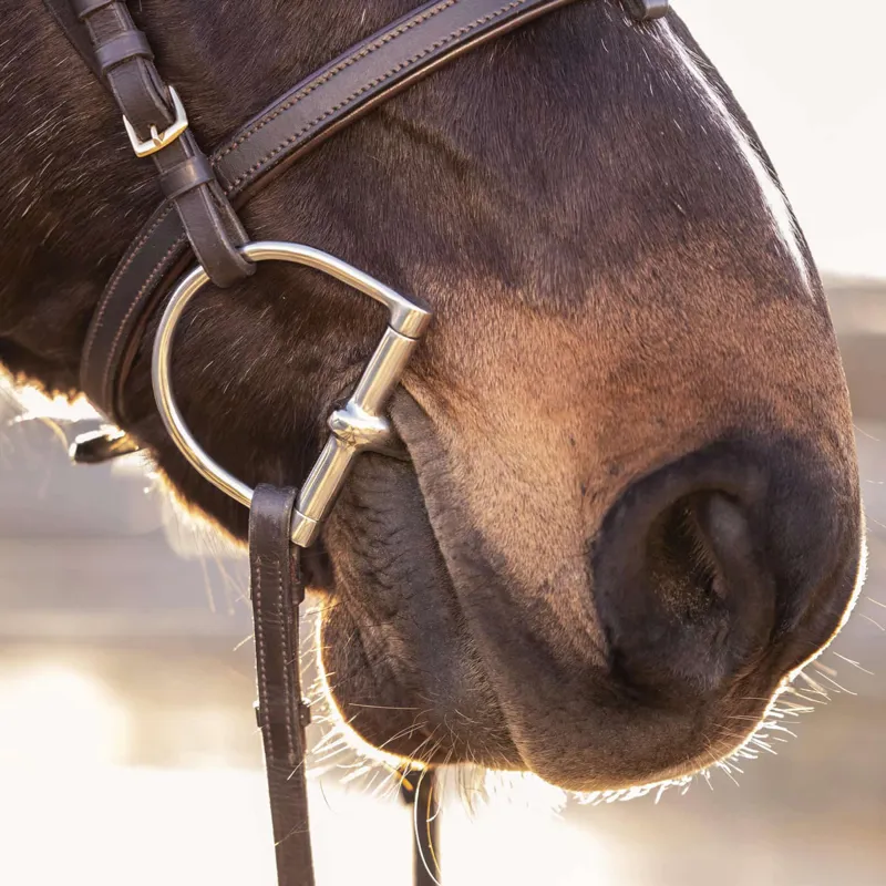 Sprenger MAX-Control D-Ring Bit-1