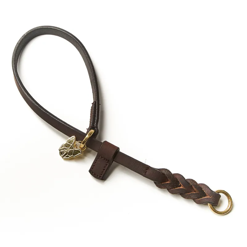 Digby and Fox Braided Slip Dog Collar - Brown-1