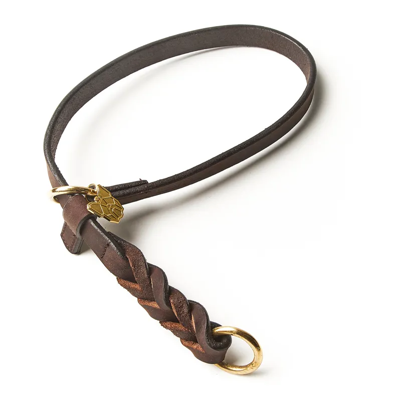 Digby and Fox Braided Slip Dog Collar - Brown