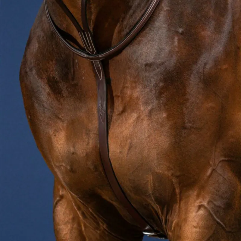 Dy'on US Collection Running Martingale - Brown-1