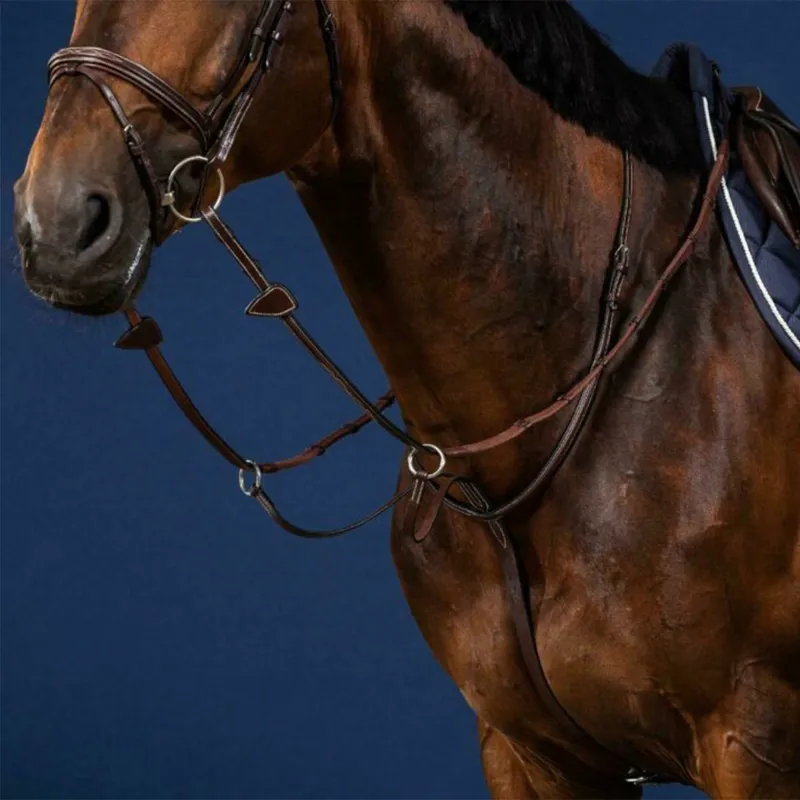 Dy'on US Collection Running Martingale - Brown-2