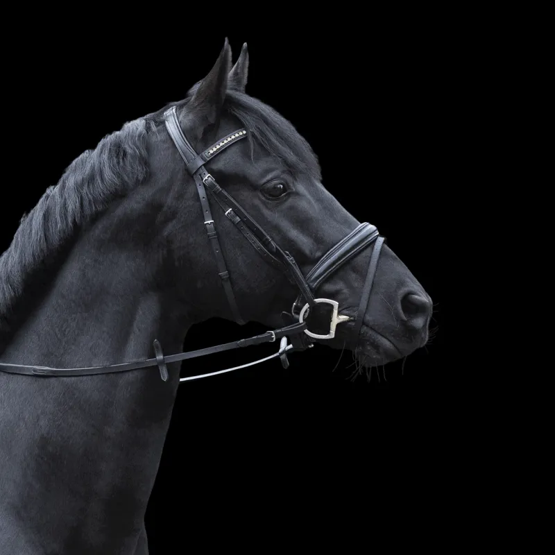 Sprenger Dynamic RS WH ULTRA Eggbutt Bit-1