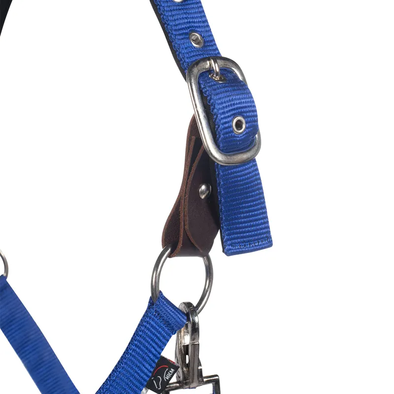 HKM Breakaway Headcollar -  Royal Blue-1