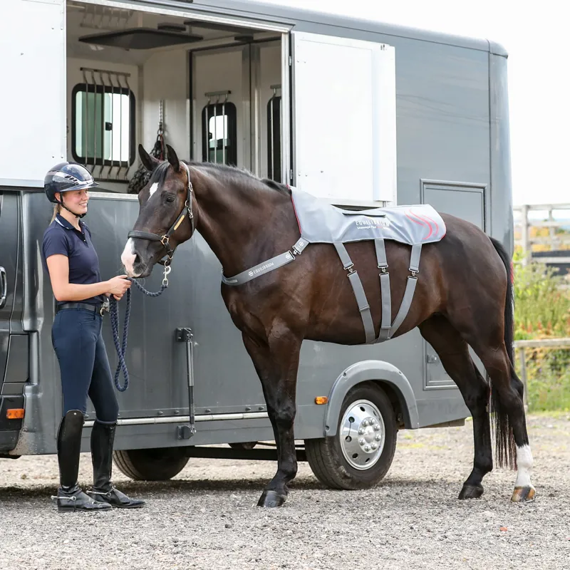 Equilibrium Heatsense Massage Back Pad - Standard-7