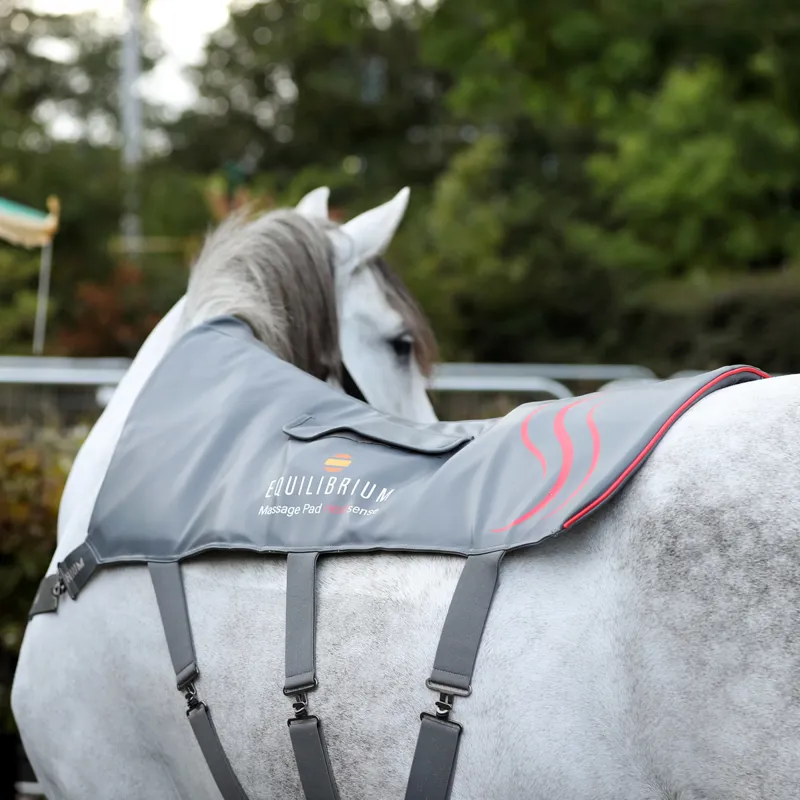 Equilibrium Heatsense Massage Back Pad - Standard-1