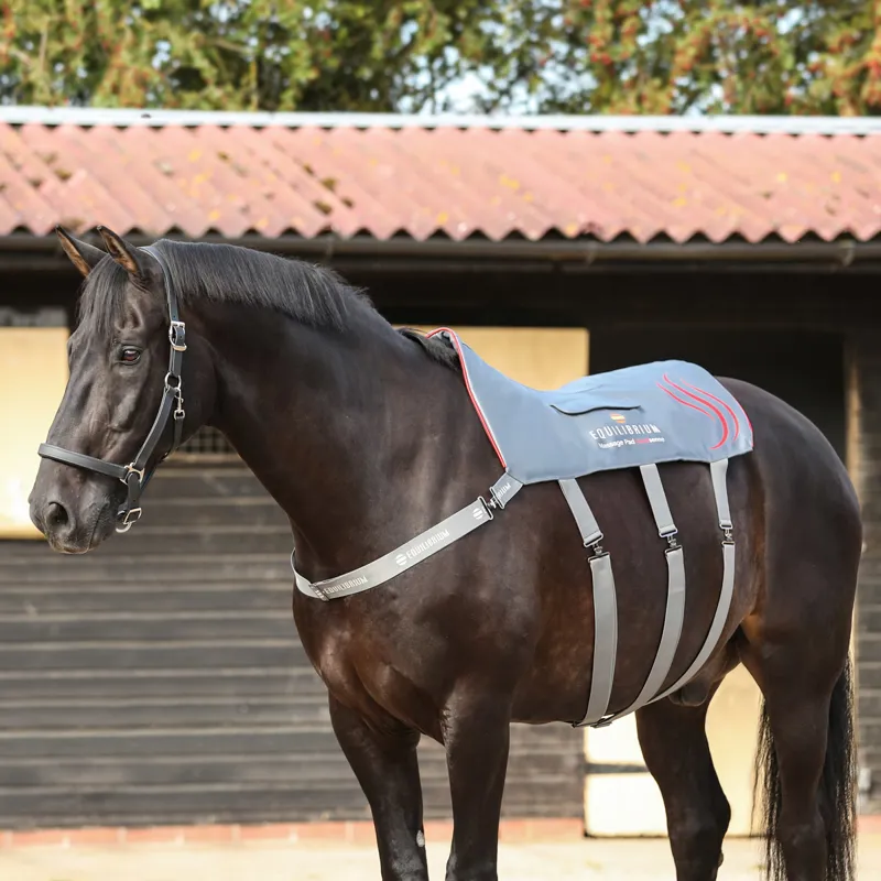 Equilibrium Heatsense Massage Back Pad - Standard-10