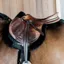 Kentucky Hunter Vegan Sheepskin Jumping Saddlecloth - Black