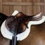 Kentucky Hunter Vegan Sheepskin Jumping Saddlecloth - Natural