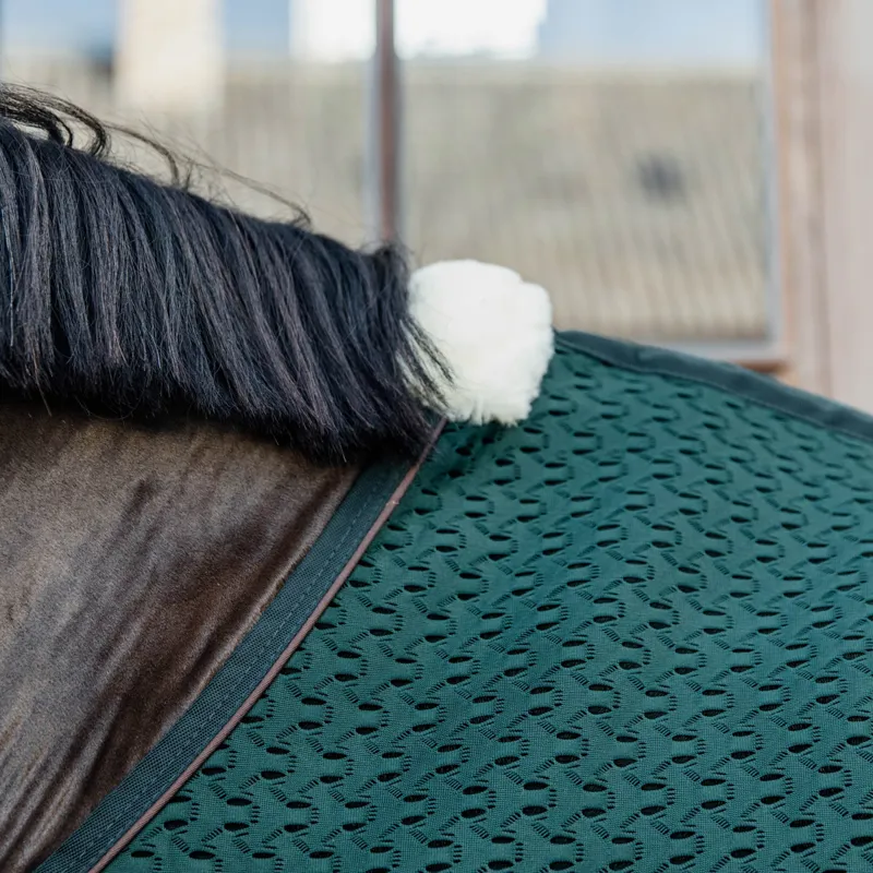 Kentucky 4D Spacer Cooler Rug - Pine Green-5