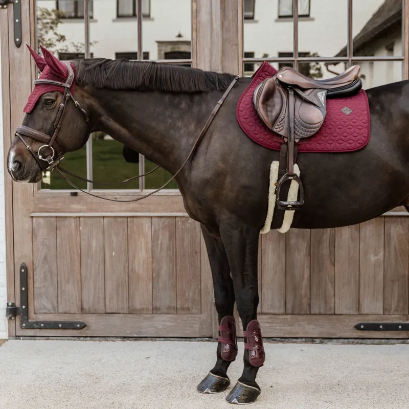 Kentucky Bamboo Shield Tendon Boots with Elastic Straps - Bordeaux-2