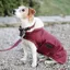 Kentucky Original Dog Coat - Bordeaux