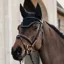 Kentucky Wellington Glitter Stone Fly Veil - Black
