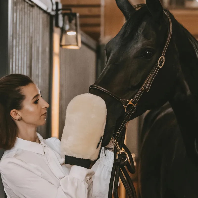 Grooming Deluxe Faux Sheepskin Grooming Mitt - Natural