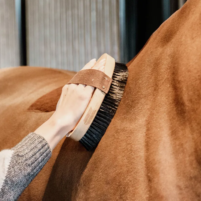 Grooming Deluxe Oval Hard Middle Body Brush
