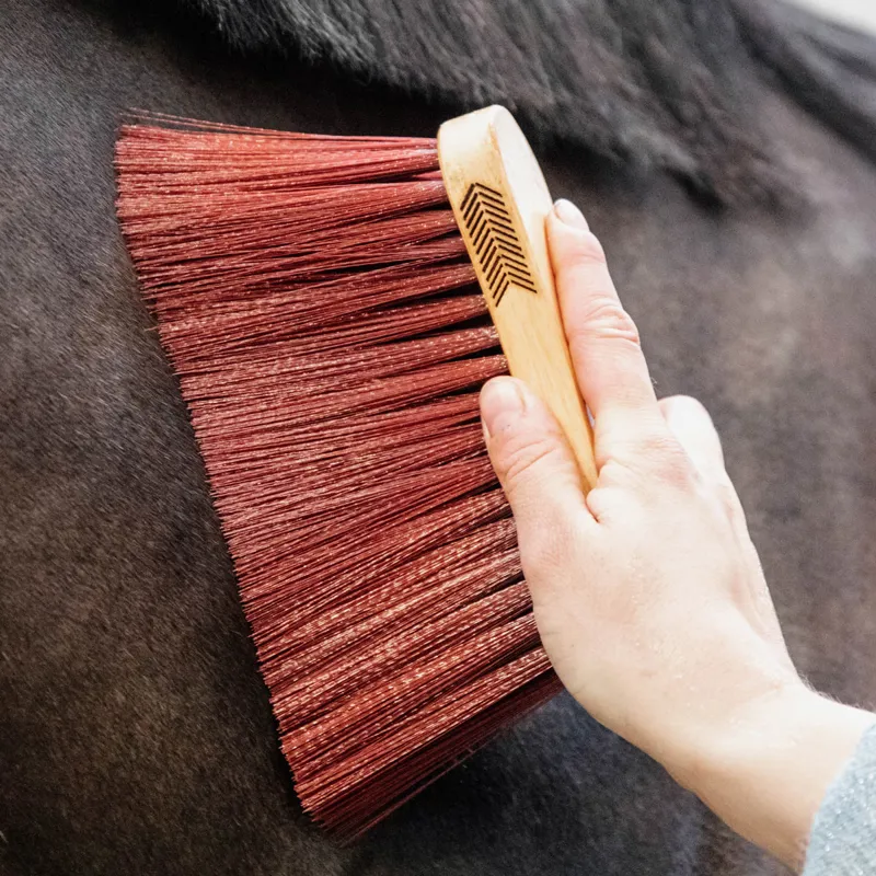 Grooming Deluxe Middle Brush Long - Brown