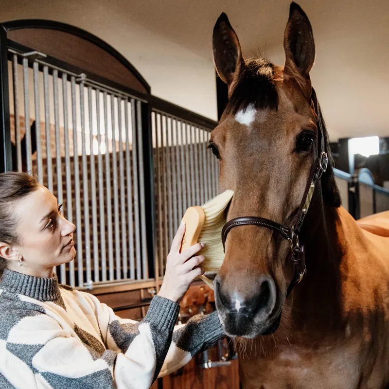 Grooming Deluxe Middle Brush Long - Natural-2