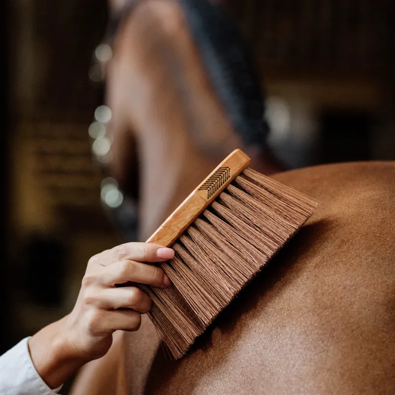 Grooming Deluxe Middle Brush Medium - Brown