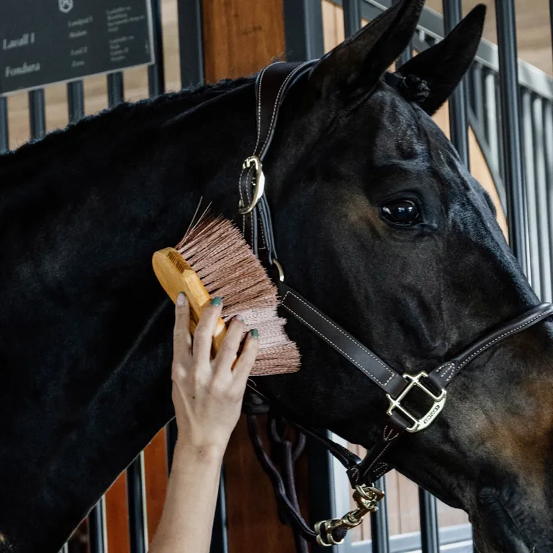 Grooming Deluxe Middle Brush Medium - Brown-1