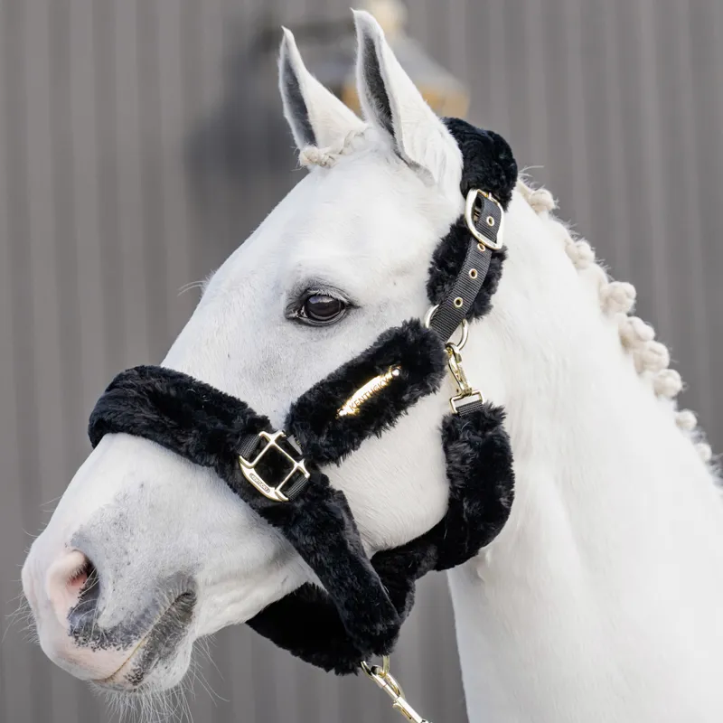 Kentucky Shipping Synthetic Sheepskin Headcollar Black