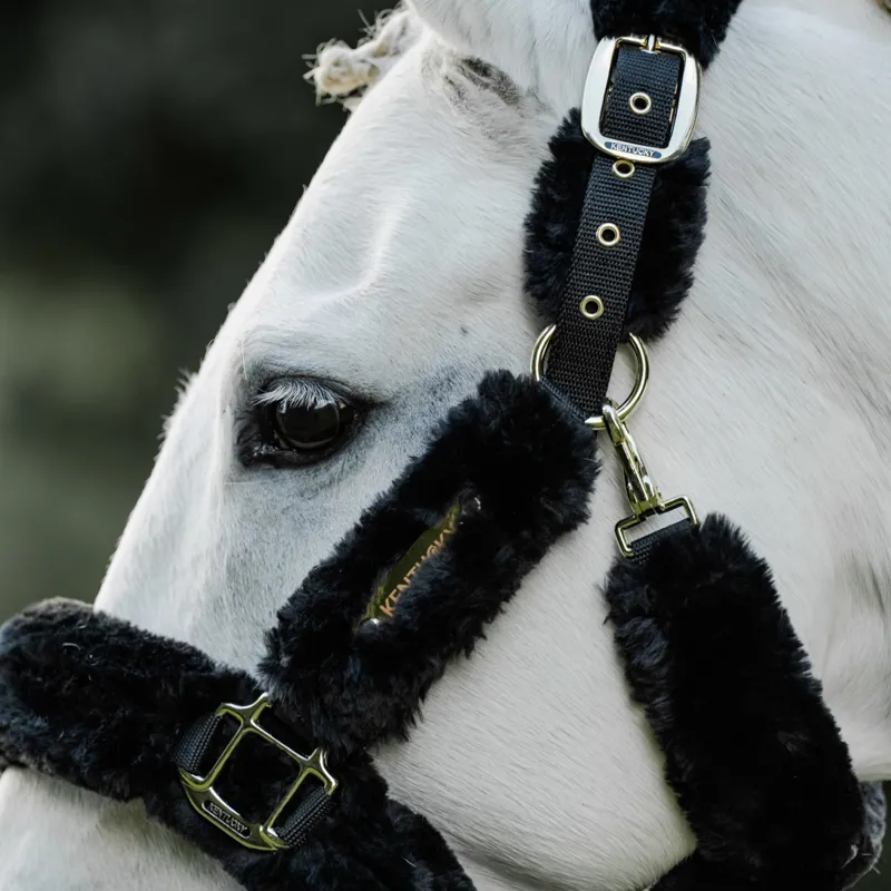 Kentucky Shipping Synthetic Sheepskin Headcollar - Black-1
