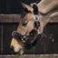 Kentucky Shipping Synthetic Sheepskin Headcollar - Brown