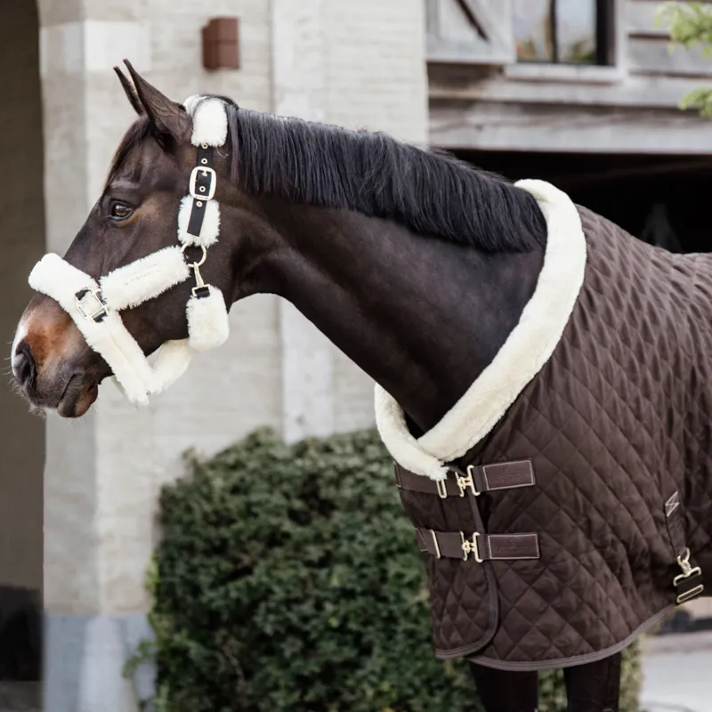 Kentucky 160g Show Rug - Brown-1