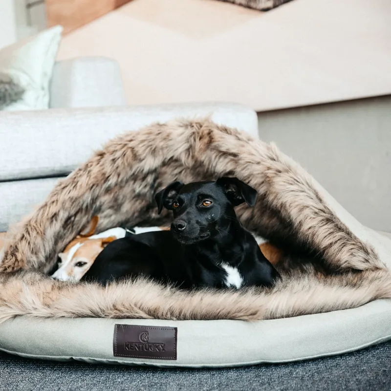 Kentucky Igloo Dog Bed - Brown-1