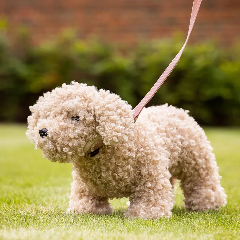 LeMieux Mini Toy Puppy - Chester the Cockapoo-1