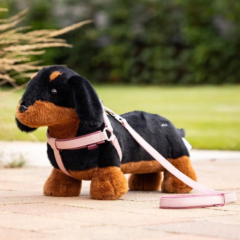 LeMieux Mini Toy Puppy - Sally the Dachshund-1