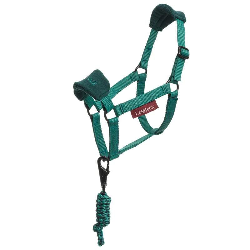 LeMieux Hobby Horse Toy Headcollar Spruce